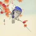 thumbnail image 2 of Koson, Ohara 26x26 Black Ornate Wood Framed with Double Matting Museum Art Print Titled - Two pigeons on autumn branch, 2 of 4