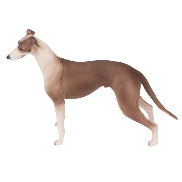 Greyhound Dog Model Stimulate Curiosity Exquisite Craftsmanship