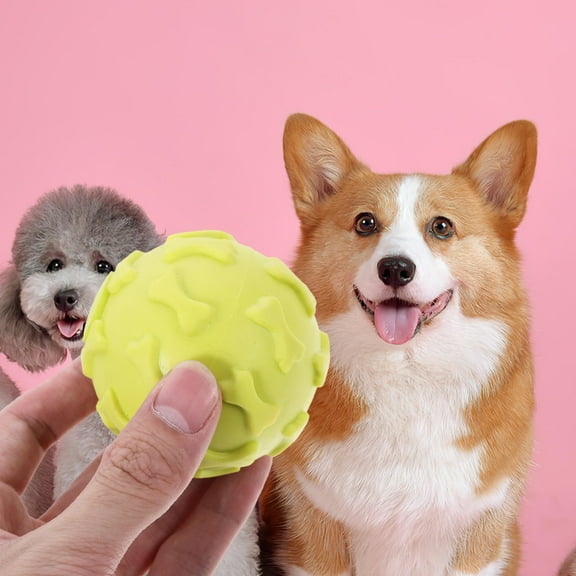 LULULION Dog Squeaky Chew Toy Dog Chewing Ball Rubber for Entertainment 1Pack