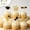 Gold, variant on Partheme 2026 Graduation Cupcake Toppers with Glitter Gold Black Cardstock, 6 Designs Graduation Cap Diploma, 12pcs Cake Decorations for Party Supplies, Gold