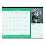 Pets Collection Monthly Desk Pad, Furry Kittens Photography, 22 x 17, White Sheets, Black Binding, 12-Month (Jan-Dec): 2026 | Bundle of 5