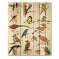 thumbnail image 3 of Designart 'Vital Colored Birds Plancard' Traditional Print on Natural Pine Wood, 3 of 5