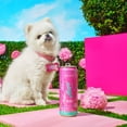 thumbnail image 2 of Alani Nu Zero Sugar Pink Slush Energy Drink Can 12 fl oz ( 4Pack), 2 of 8