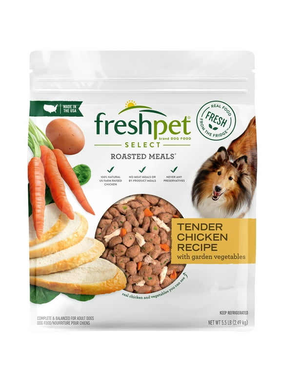 Fresh Dog Food in Dog Food