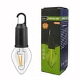 thumbnail image 3 of Birdeem Lampe d'Ambiance de Camping Rétro Portable Rechargeable Type-C Led Multifonction pour Extérieur, 3 of 10