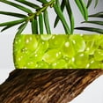 thumbnail image 5 of Perfume Lacoste L.12.12 Blanc Eau De Parfum para hombre, 100 ml, 5 of 5