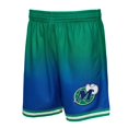 thumbnail image 2 of Men's Mitchell & Ness Green/Navy Dallas Mavericks 1998/99 Hardwood Classics Fadeaway Reload 3.0 Swingman Shorts, 2 of 4