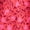 Begonia Pink, variant on Girls Wide Leg Play Jumpsuit, Sizes 4-16 & Plus