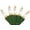 Warm White, variant on White Holiday Lights: 20 ft Outdoor String with 100 Incandescent Bulbs for Festive Decor