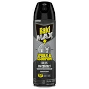 Raid MAX Indoor & Outdoor Spider & Scorpion Killer Bug Spray, 12 oz