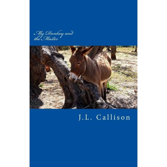 My Donkey and the Master: A Short Story of Sanctified Imagination, (Paperback)
