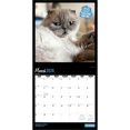 thumbnail image 3 of Selfies de chat 2026 Carré, 3 of 3
