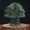 Green, variant on Collectible Figurines ,1pc Handcrafted Amethyst Crystal Tree Bonsai Money Tree Suitable for Feng Shui Wealth Luck Decor, Desktop Decoration for Home Office, Christmas Gift, Collectible