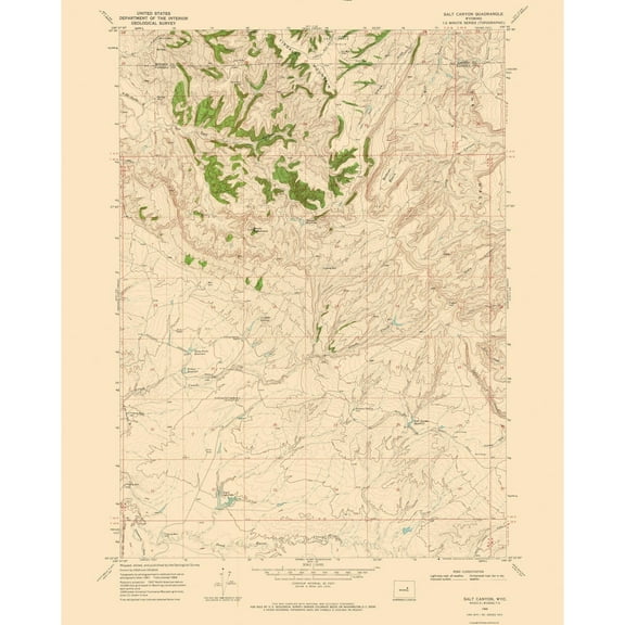 Topographical Map - Salt Canyon Wyoming Quad - USGS 1968 - Vintage Wall Art
