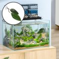thumbnail image 1 of unbranded De Hoja De Plástico Para Betta Y Segura Con Ventosas, 1 of 8