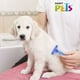 thumbnail image 4 of Cardina Ch Ergonómica Dientes Metálicos P/Perro Fancy Pets Fancy Pets FL8313, 4 of 4