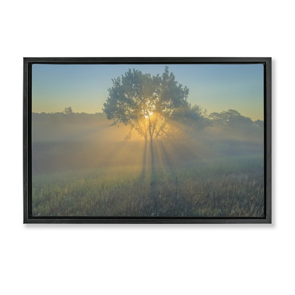 Stupell Industries Bright Sunlit Tree Landscape & Nature Photography Black Floater Framed Canvas Art Print Wall Art, 25 x 17