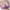 Purple, variant on 2025 Summer Savings! Bras for Womens,loopsun Woman's Embroidered Glossy Comfortable Breathable Bra Underwear No Rims