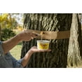thumbnail image 4 of Tree Tanglefoot Insect Barrier Tub, 15 oz., 4 of 8