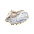 thumbnail image 1 of Sagebrook Home Metal 8" Clam Decor, Ivory/Nickel, 1 of 2