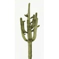 thumbnail image 2 of Jensen, Mia 18x32 White Modern Wood Framed Museum Art Print Titled - Saguaro II, 2 of 4