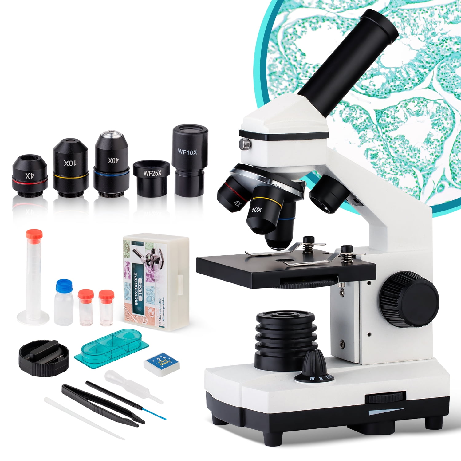 Battery Powered,Double Observation of The Specimen 10X/20X 4X,10X,40X Middle Biological Stereo Microscope 40x-800x,can be Connected to a Mobile Phone,Eyepiece Optical Glass Objective Lens 