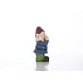 thumbnail image 4 of WINKING GNOME, 4 of 5