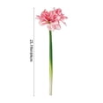 thumbnail image 3 of karymi Artificial Clivia Amaryllis Flower 1pcs Faux Realistic Blooms Tall 25.19 In Home Decor Wedding Centerpiece Vase Floral Arrangement House Decor, 3 of 6