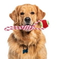 thumbnail image 4 of Cuerda de masticar para perros, cuerda de algodón trenzada duradera para limpiar los dientes de gatos y perros, roja y blanca, 2 piezas, 4 of 7