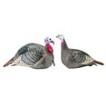 thumbnail image 1 of Hunters Specialties 100005 Strut-Lite Jake & Hen Decoy, 2-Pack, 1 of 9