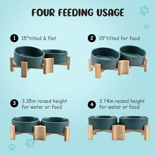 15° Slanted Ceramic Dog and Cat Bowl with Wooden Stand, Tilted Bulldog Food and Water Bowl No Slip Non-Spill for Cats Medium Dogs Big Face Pets 13.5 OZ (1.7 Cups, Green × 2)