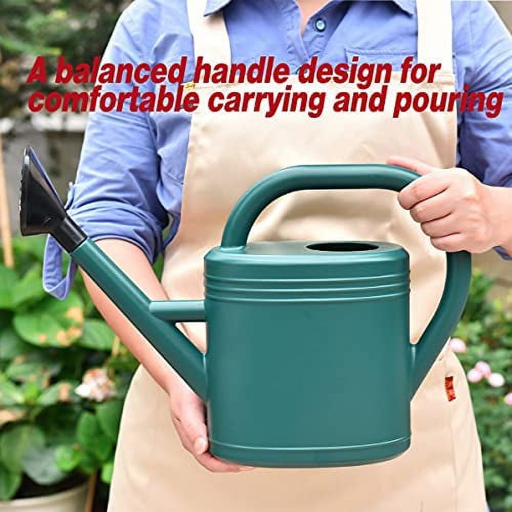 Watering Can 1 Gallon for Garden, Indoor Plants, Outdoor Plant House Flower, Large Long Spout with Sprinkler Head (Grey)