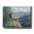 thumbnail image 1 of Epic Graffiti 'View From the Top II' by Tim O'Toole, Canvas Wall Art, 16"x12", 1 of 2