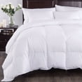 thumbnail image 2 of Puredown Baffle Box Design 100% Cotton 700 Fill Power European Down Comforter Duvet Insert, White, 2 of 6