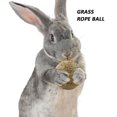 thumbnail image 4 of Hámster conejito pájaro mordedura bola de hierba Natural pequeña mascota Molar bola de ratán Hugtrwg Para estrenar, 4 of 8