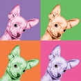 thumbnail image 2 of Bertelli, Jon 12x12 White Modern Wood Framed Museum Art Print Titled - Sweet Chihuahua Pop, 2 of 4