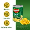 thumbnail image 3 of DEL MONTE FRESH CUT Golden Sweet Whole Kernel Corn, Canned Vegetables, 15.25 oz Can (Pack of 2), 3 of 8