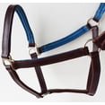 thumbnail image 2 of Horse English Padded Leather  COB Western  Show Halter Blue 803H209BLC, 2 of 3