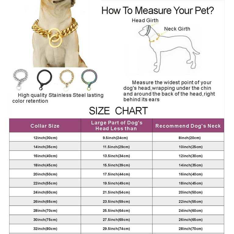 Gold Chain Dog Collar Pet Slip for American Pitbull French Bulldog