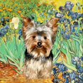 thumbnail image 2 of CafePress - IRISES / Yorkie (17) Mug - 11 oz Ceramic Mug - Novelty Coffee Tea Cup, 2 of 3