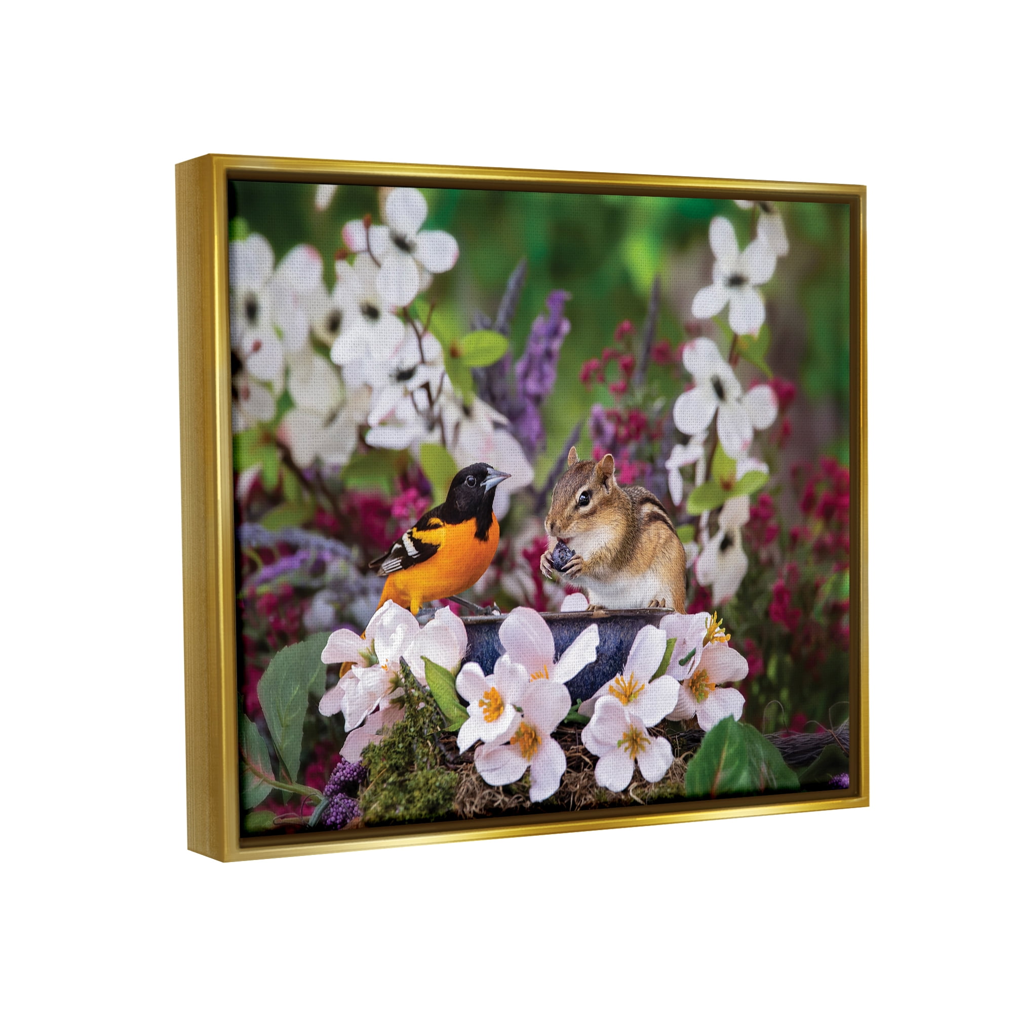 Stupell Industries Squirrel & Bird in Nature Animals & Insects Photography Gold Floater Framed Art Print Wall Art, 31 x 25