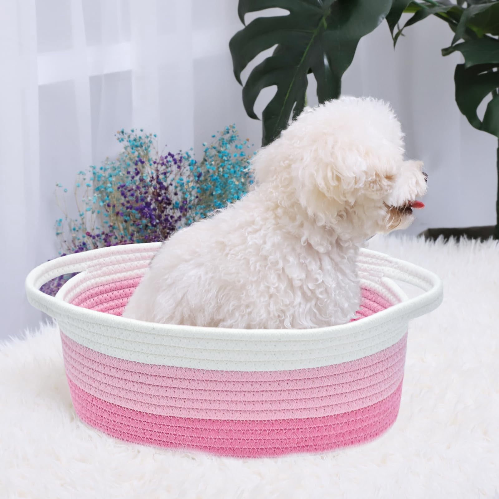 Soft Rope Woven Storage Basket with Handles, Compact Decorative Organizer Bin for Dog & Cat Toys, Shelf Storage & Easter Gift Basket