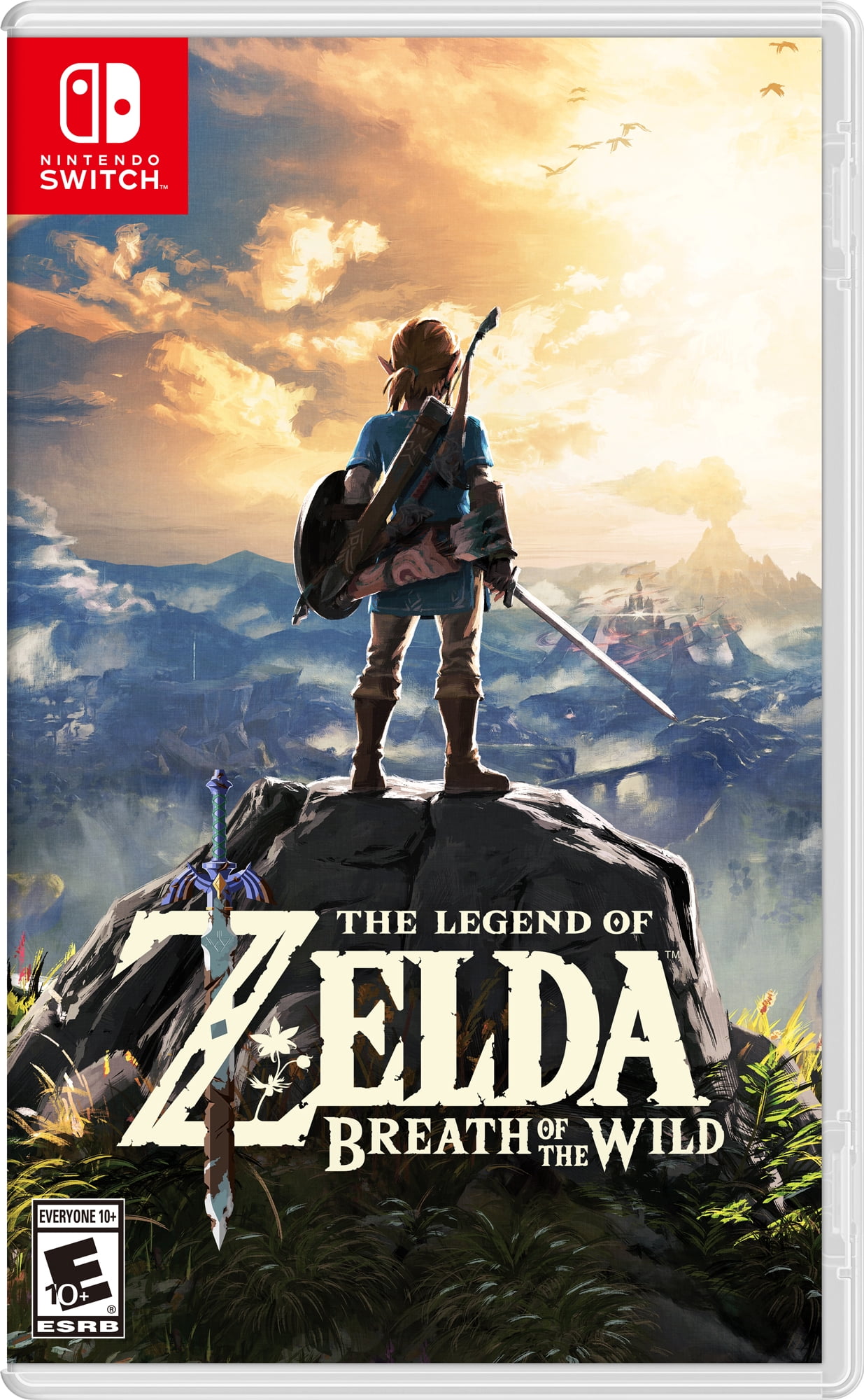 Adolescent Relatieve grootte Lijkenhuis The Legend of Zelda: Breath of the Wild - Nintendo Switch - Walmart.com