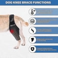 thumbnail image 3 of Rodillera para perros, soporte para patas de perro, soporte de cadera para lesiones de ligamentos cruzados, CCL, dislocación de rótula u osteoartritis, 3 of 5