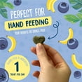 thumbnail image 6 of Burgess Excel Fruity Feasts with Banana and Blueberry Small Animal Treats 60gm Case of 12, 6 of 7