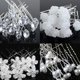 thumbnail image 2 of 20 piezas horquilla de flores para mujer, horquilla de perlas de cristal para boda, horquilla en forma de U, pasadores, accesorios para el cabello, venta al por mayor Tan Jianjun unisex, 2 of 2