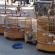 thumbnail image 3 of 10 comederos colgantes para pájaros, porta huevos multifuncional y cesta de frutas para pájaros pequeños, periquitos y pájaros cantores, accesorios para jaulas de pájaros., 3 of 4