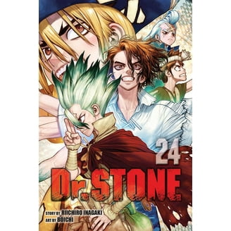 Dr. Stone Dr. Stone, Vol. 25: Zero, (Paperback) - Walmart.com