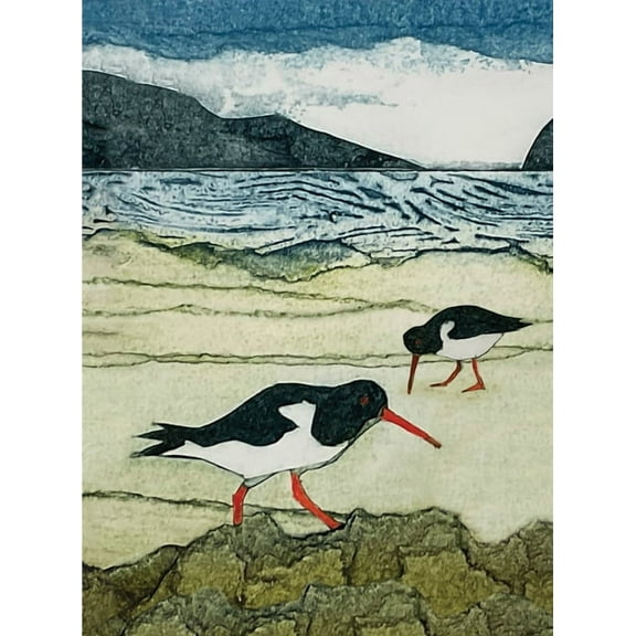 Wild Birds Pocket Notebook: Oystercatcher, (Paperback)