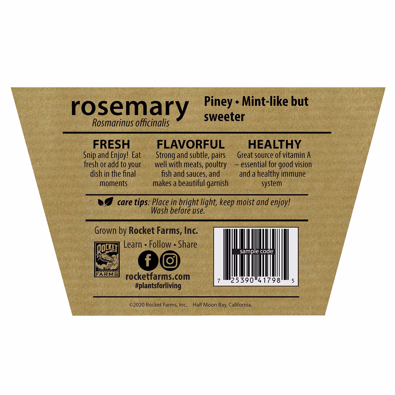 Fresh Potted Rosemary, 1 Each